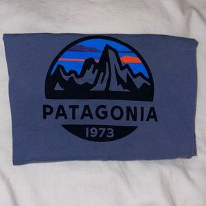 Patagonia Tee